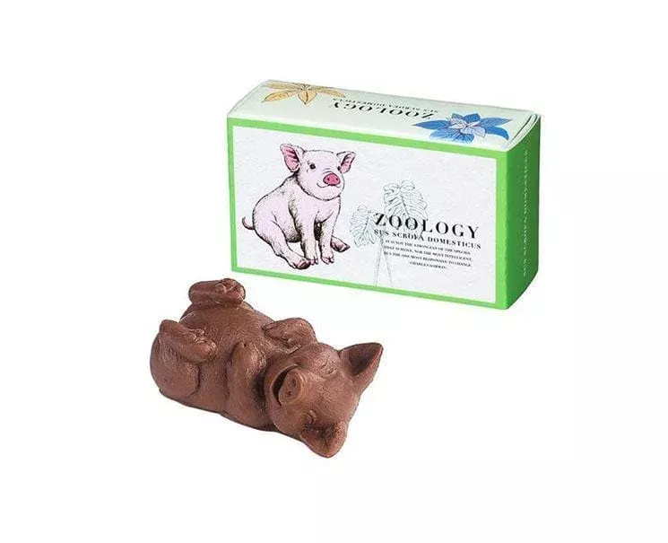 zoology-chocolate-pig Zoology Chocolate Pig